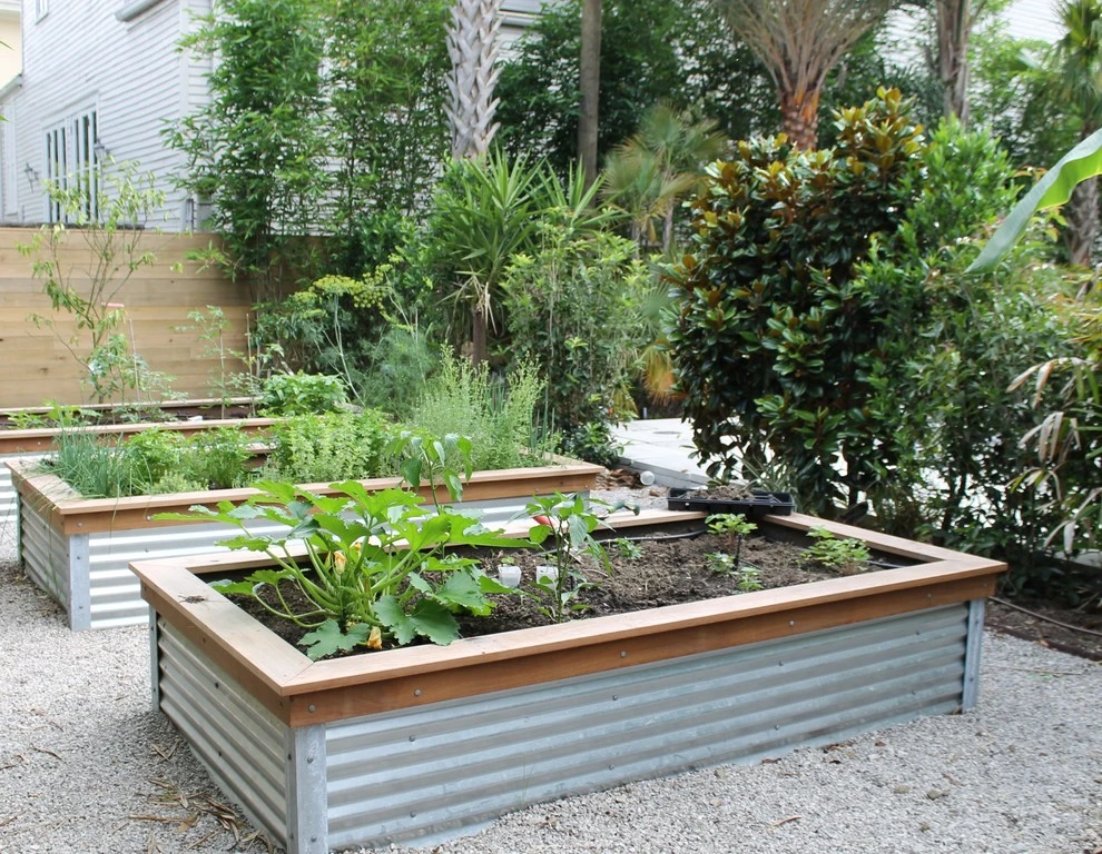 Uptown Tropical by EcoUrban Landscaping - Photo 6
