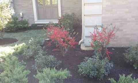Alberto Alavez Professional Lawn Services LLC 4 by Alberto Alavez Professional Lawn Services LLC - Photo 14