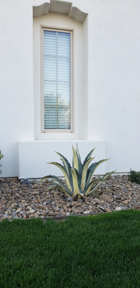 Casa Olivo by Garza Concepts - Photo 31
