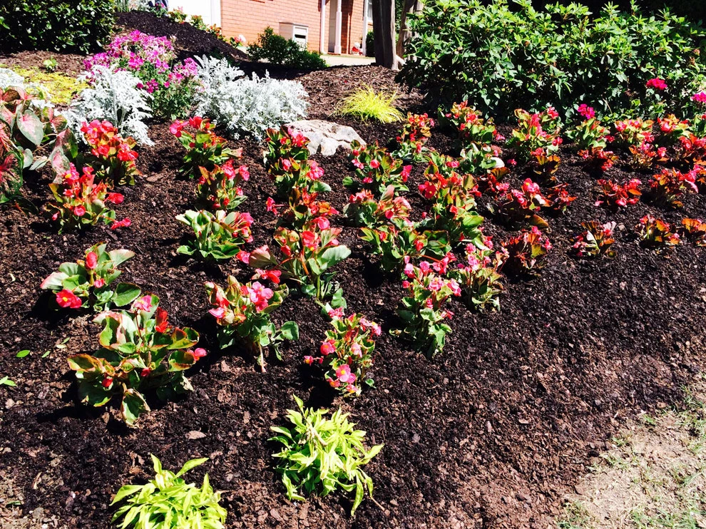 Elite Outdoors Landscaping - Photo 5