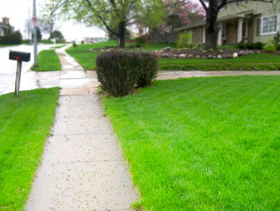 Emerald Lawn & Landscape - Photo 14