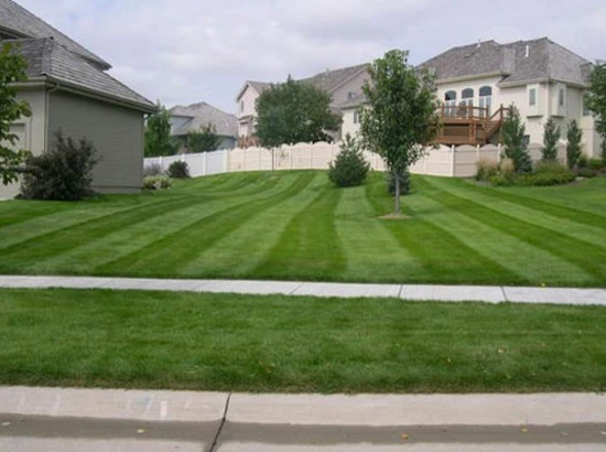 Lawns by Emerald Lawn & Landscape - Photo 6