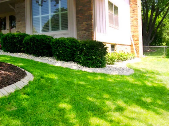 Emerald Lawn & Landscape - Photo 8