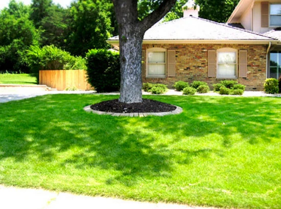 Lawns by Emerald Lawn & Landscape - Photo 4