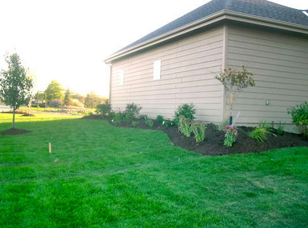 Emerald Lawn & Landscape - Photo 6