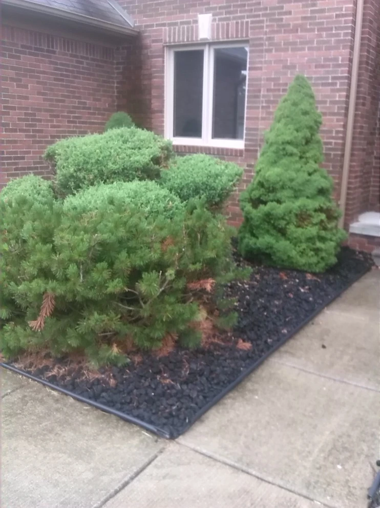 Engineered Landscape - Photo 8