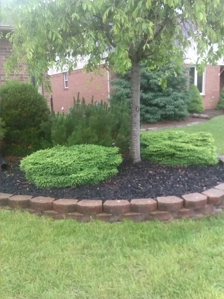 Engineered Landscape - Photo 4