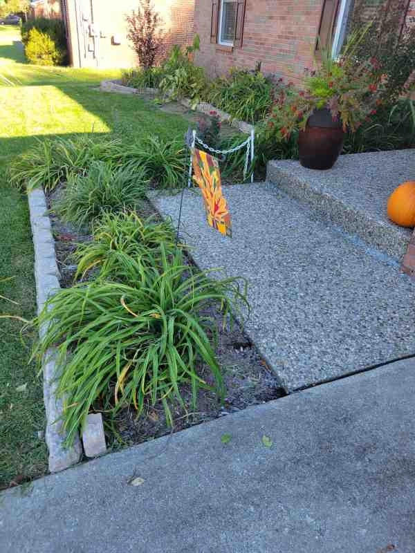 Alberto Alavez Professional Lawn Services LLC 7 by Alberto Alavez Professional Lawn Services LLC - Photo 33