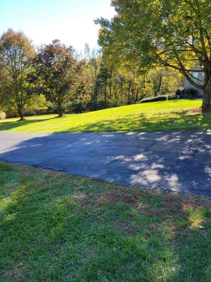 Alberto Alavez Professional Lawn Services LLC 7 by Alberto Alavez Professional Lawn Services LLC - Photo 3