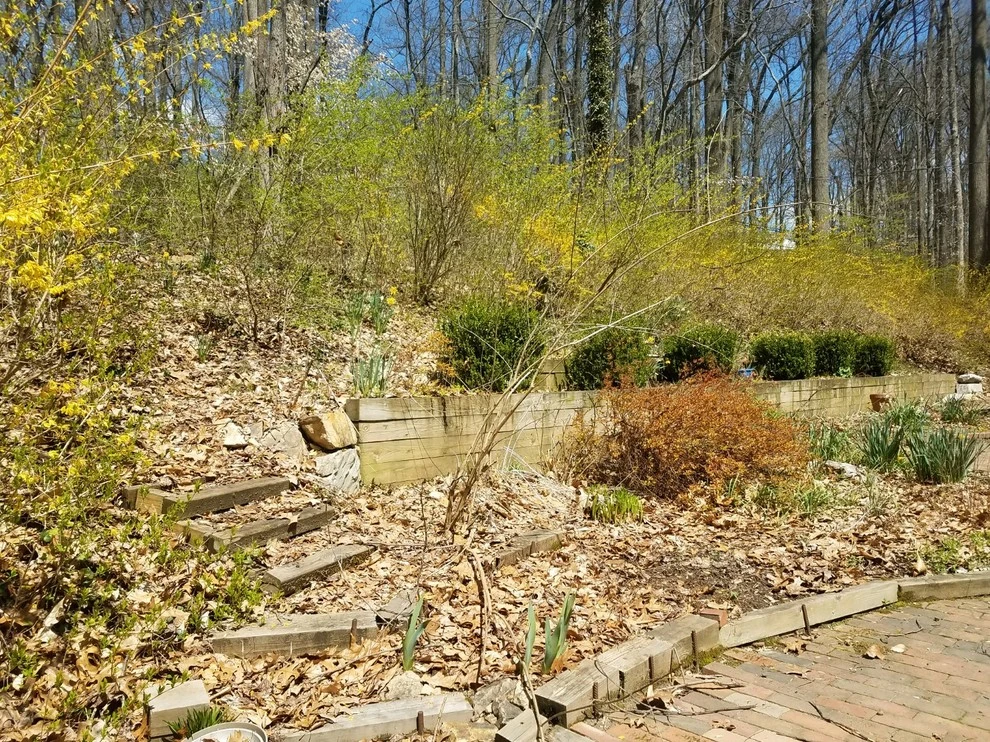 Brison Landscaping - Photo 10