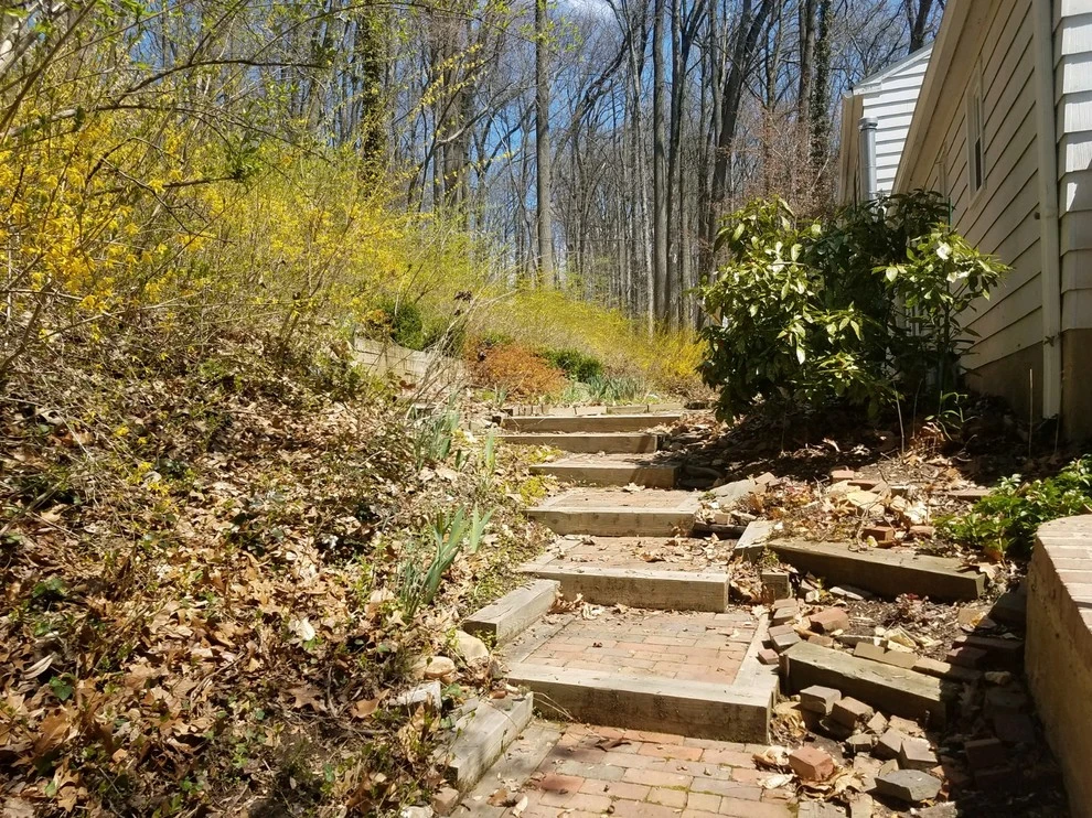 Brison Landscaping - Photo 7