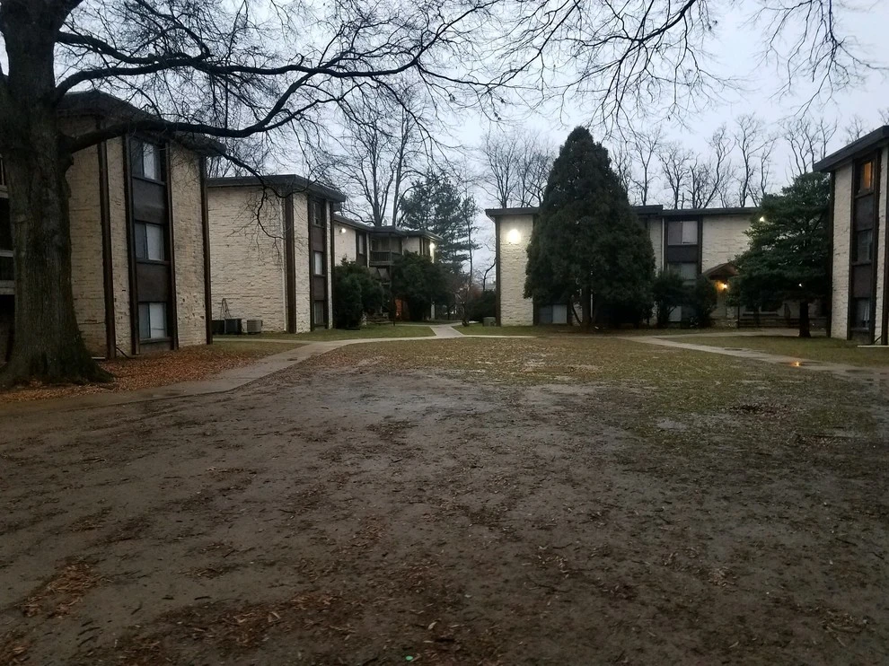 Brison Landscaping - Photo 12