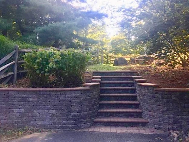 Brison Landscaping - Photo 11