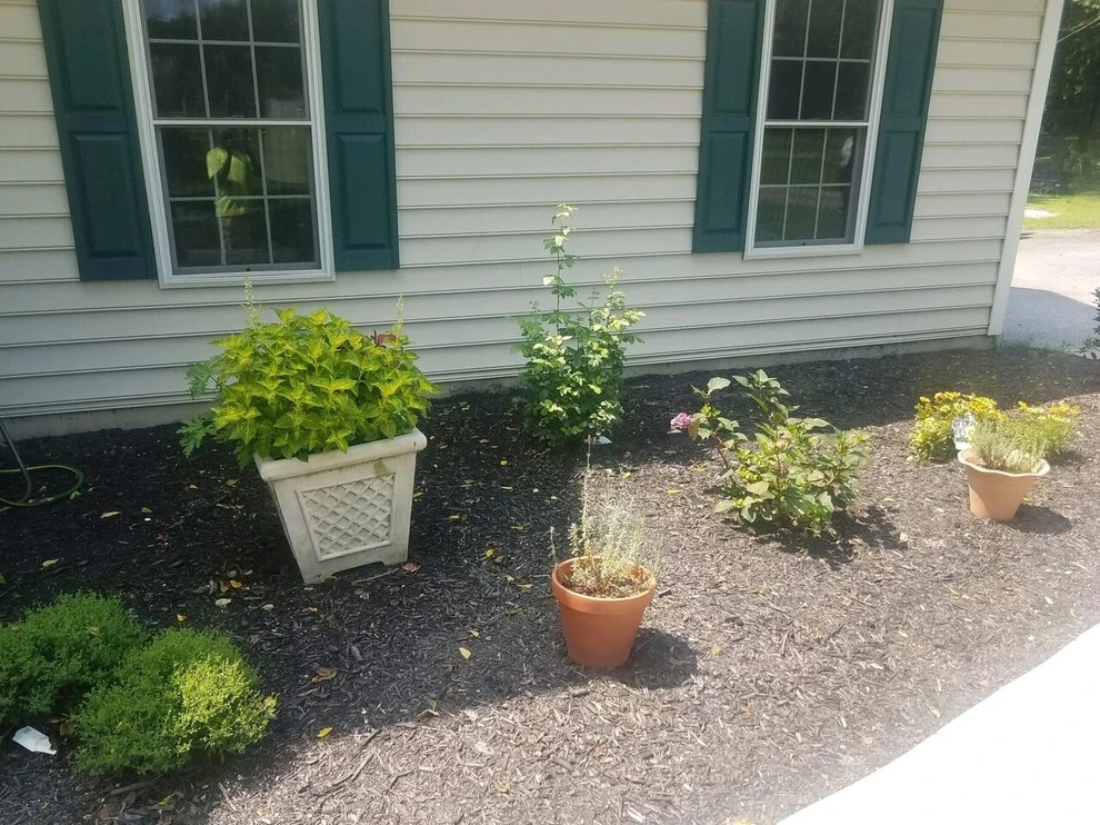 Brison Landscaping - Photo 14