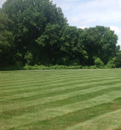 Bruster's Landscaping Inc. - Photo 5