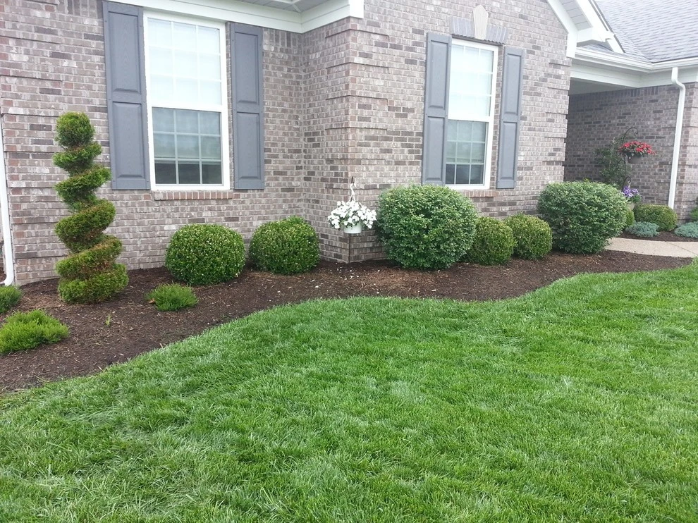 Busy Blades Lawn Care, LLC. - Photo 3