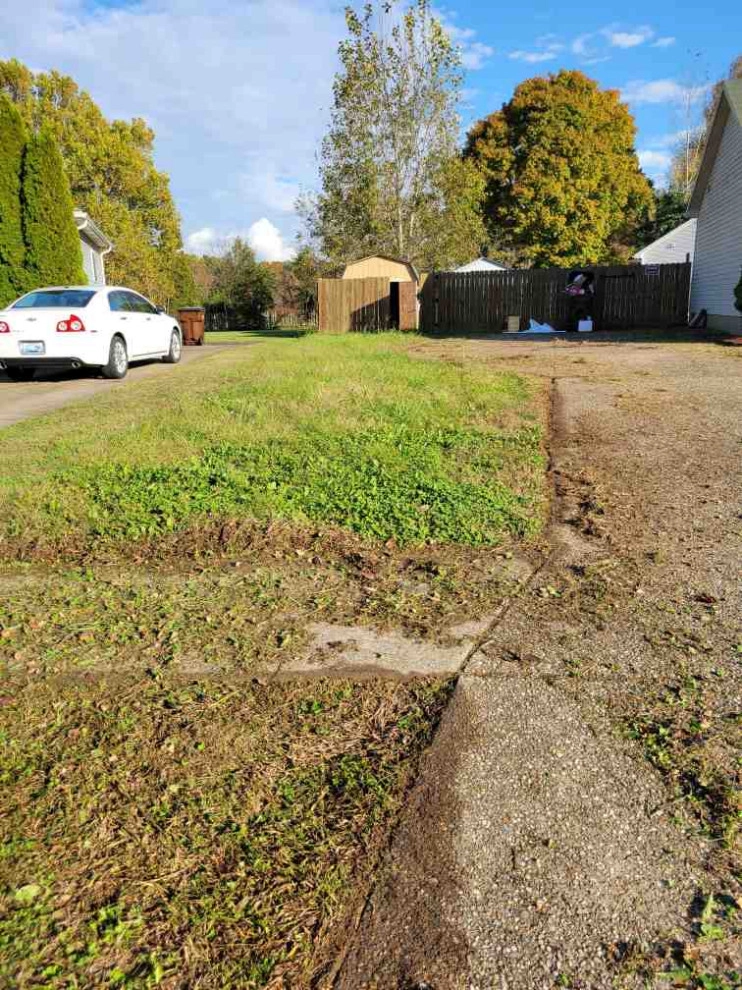 Alberto Alavez Professional Lawn Services LLC - Photo 11