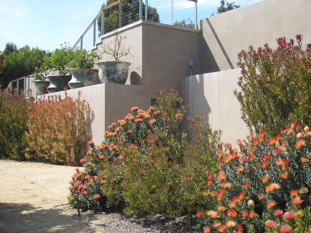 Point Dume Residence by GEL: Griffin Enright Landscape - Photo 5