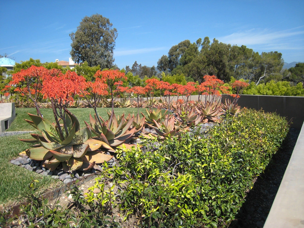Point Dume Residence by GEL: Griffin Enright Landscape - Photo 4