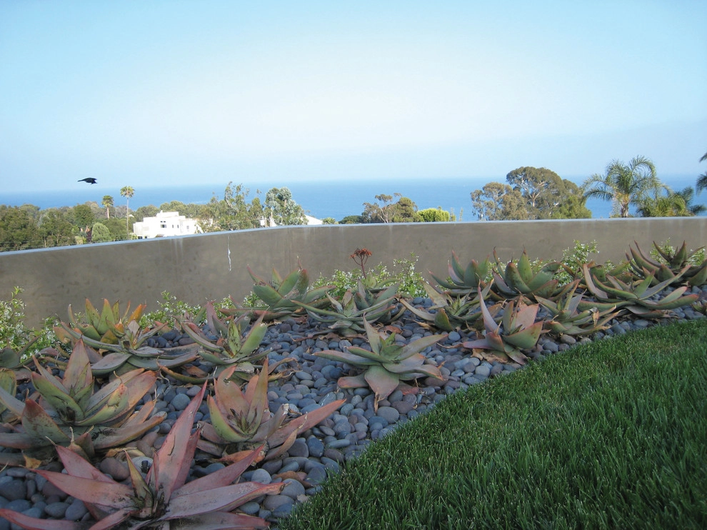 Point Dume Residence by GEL: Griffin Enright Landscape - Photo 9