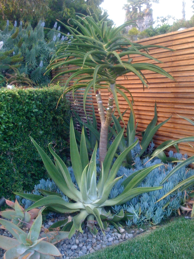 Sunset Residence by GEL: Griffin Enright Landscape - Photo 8