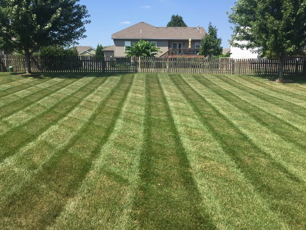 C|l Turf - Photo 6