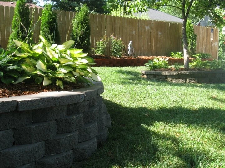 C|l Turf - Photo 3
