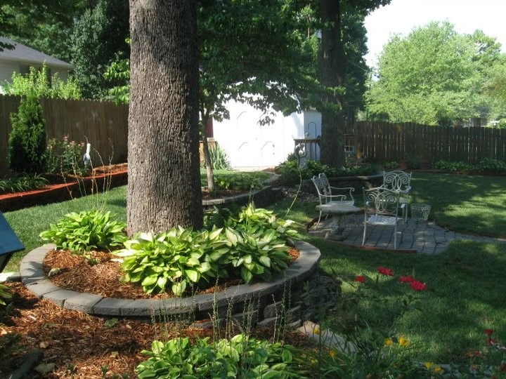 C|l Turf - Photo 7