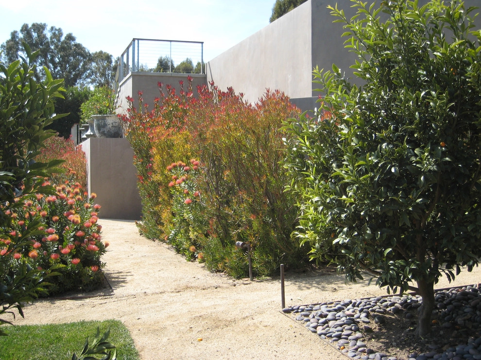 Point Dume Residence by GEL: Griffin Enright Landscape - Photo 3