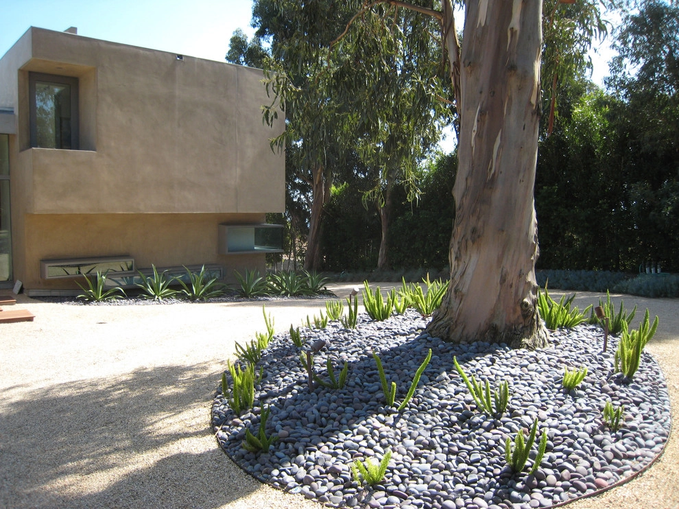 Point Dume Residence by GEL: Griffin Enright Landscape - Photo 15