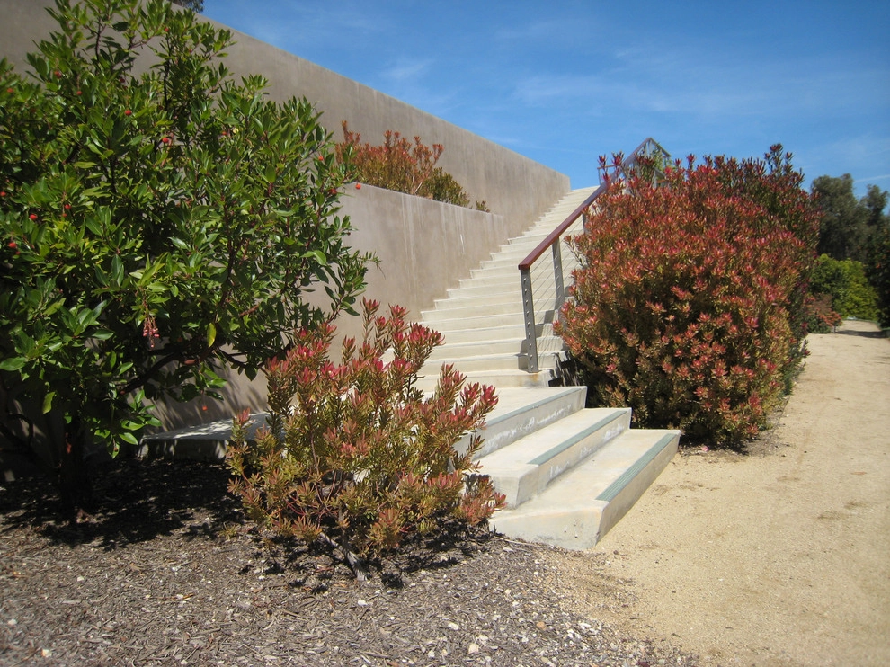 Point Dume Residence by GEL: Griffin Enright Landscape - Photo 10