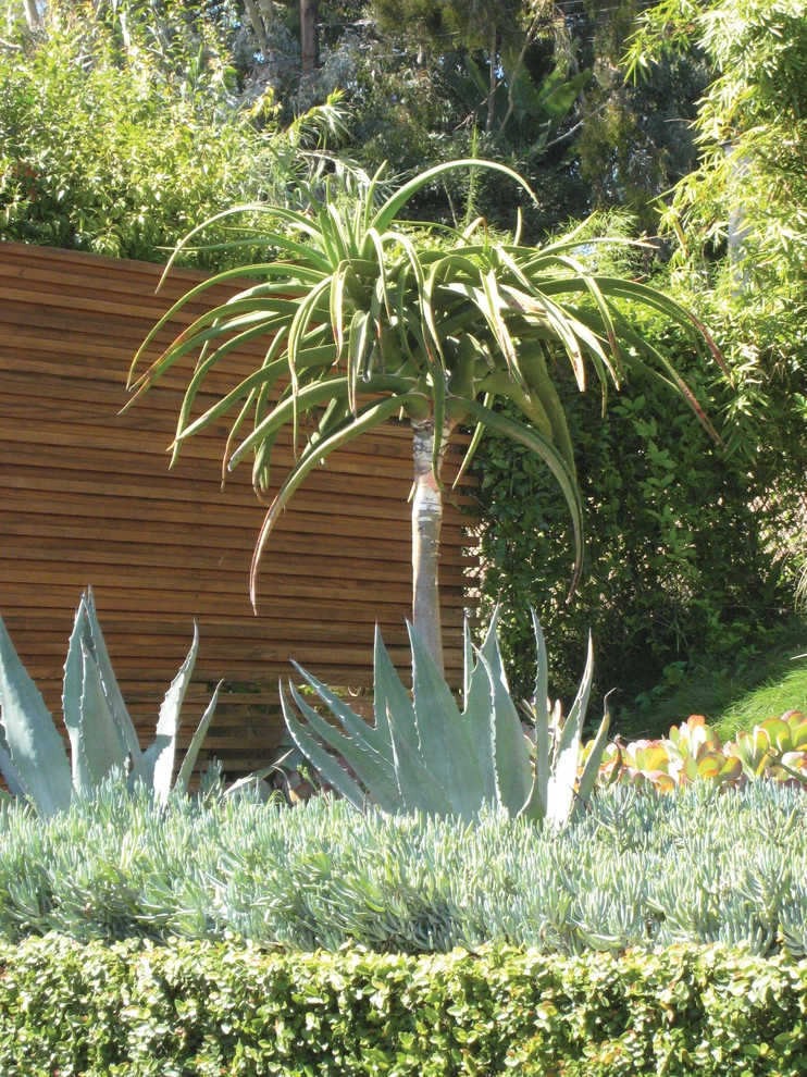 Sunset Residence by GEL: Griffin Enright Landscape - Photo 6