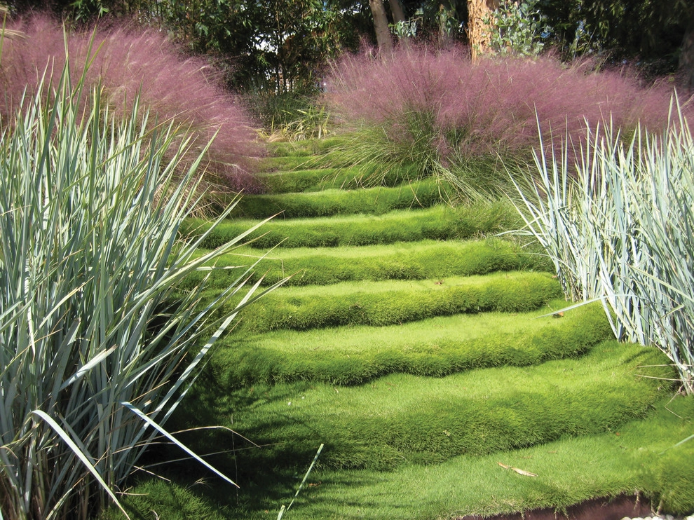 Sunset Residence by GEL: Griffin Enright Landscape - Photo 4