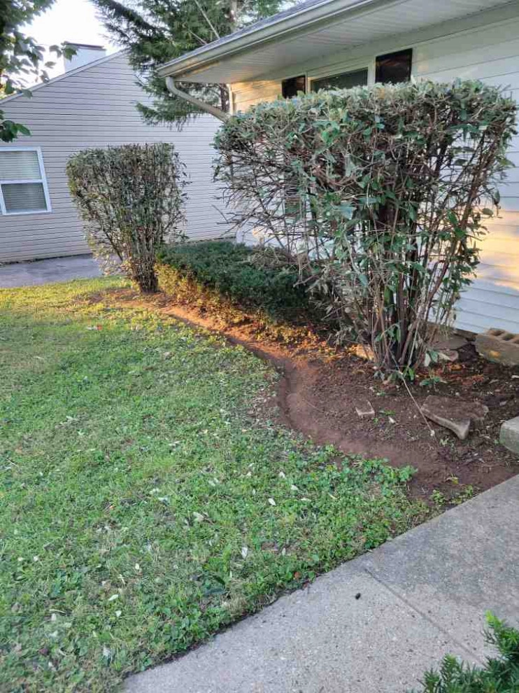 Alberto Alavez Professional Lawn Services LLC 7 by Alberto Alavez Professional Lawn Services LLC - Photo 35