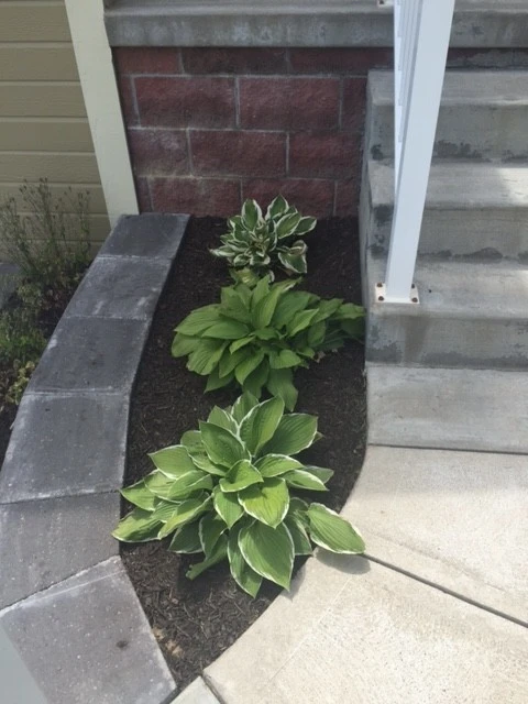 6" Denver Block Wall With Softscape by Above And Beyond Complete Grounds Maintenance - Photo 4