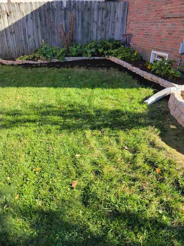 Alberto Alavez Professional Lawn Services LLC 7 by Alberto Alavez Professional Lawn Services LLC - Photo 19