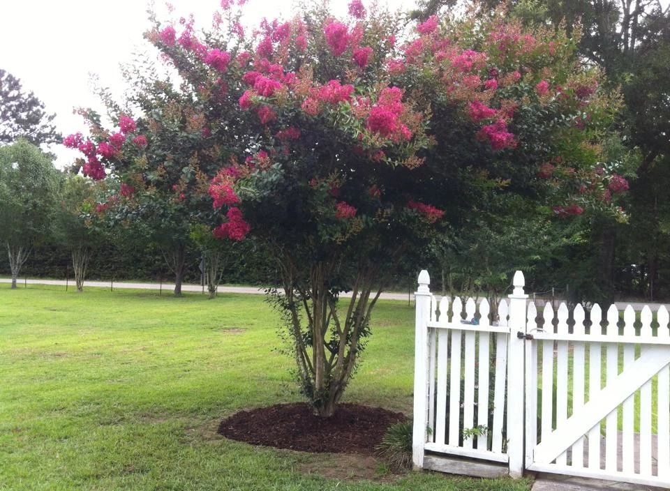 Artistic Land Crafters,LLC - Photo 2