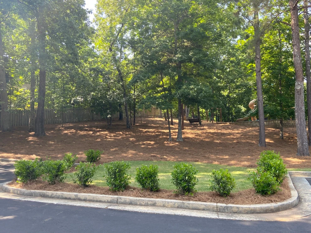 Atlanta Straw - Photo 7