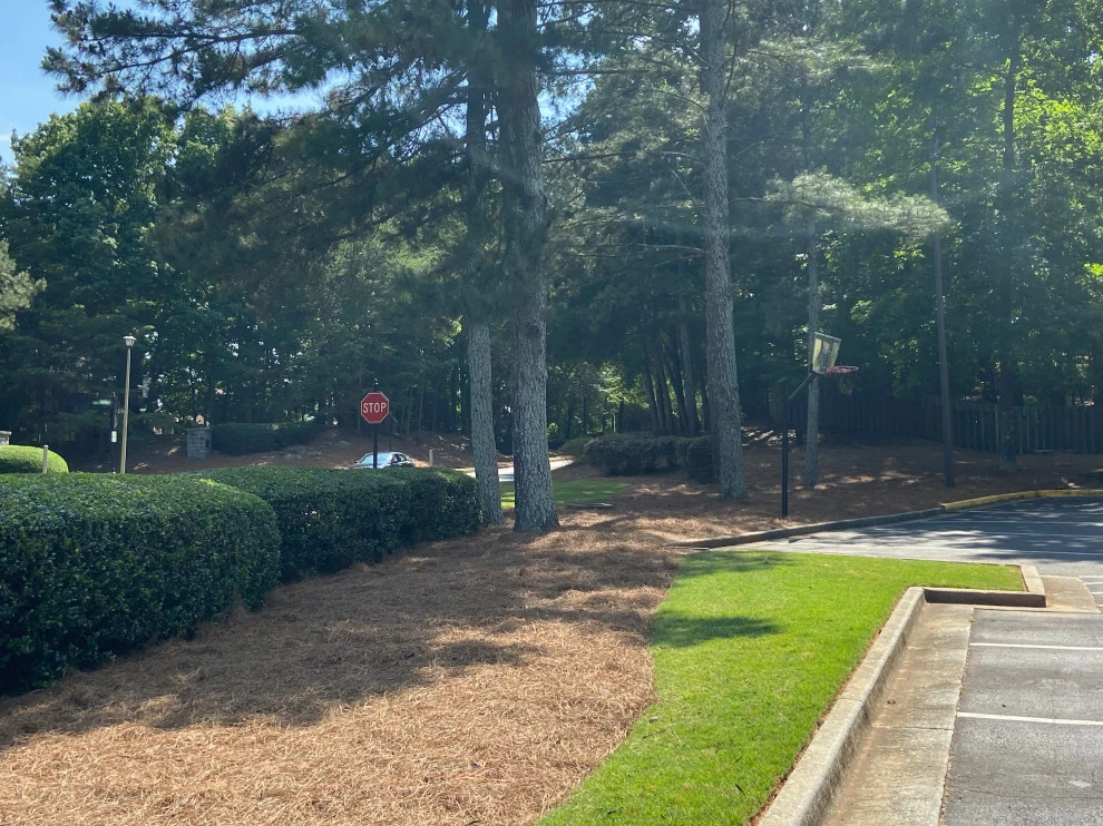 Atlanta Straw - Photo 8