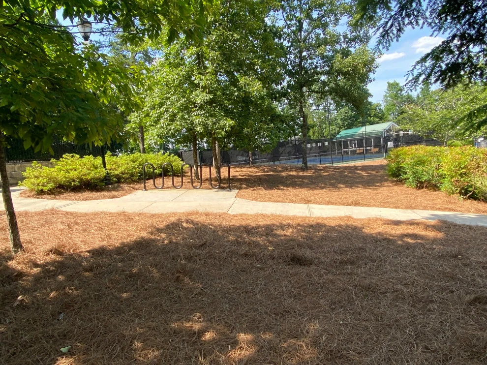 Atlanta Straw - Photo 9