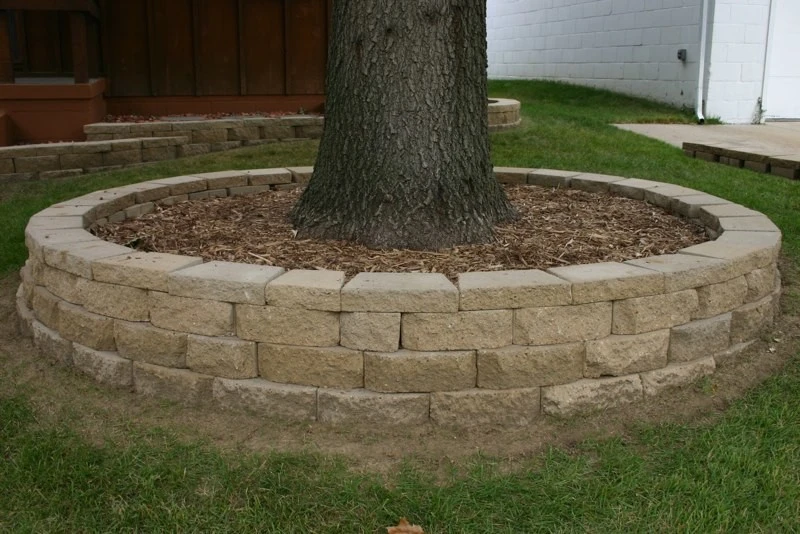 Augusta Lawn & Landscape - Photo 13
