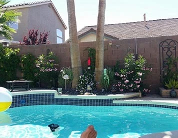 Backyard Connection - Photo 3