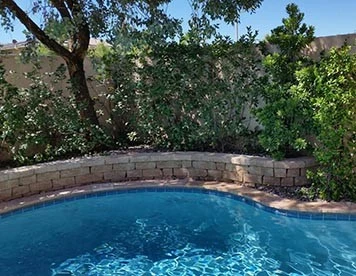 Backyard Connection - Photo 9