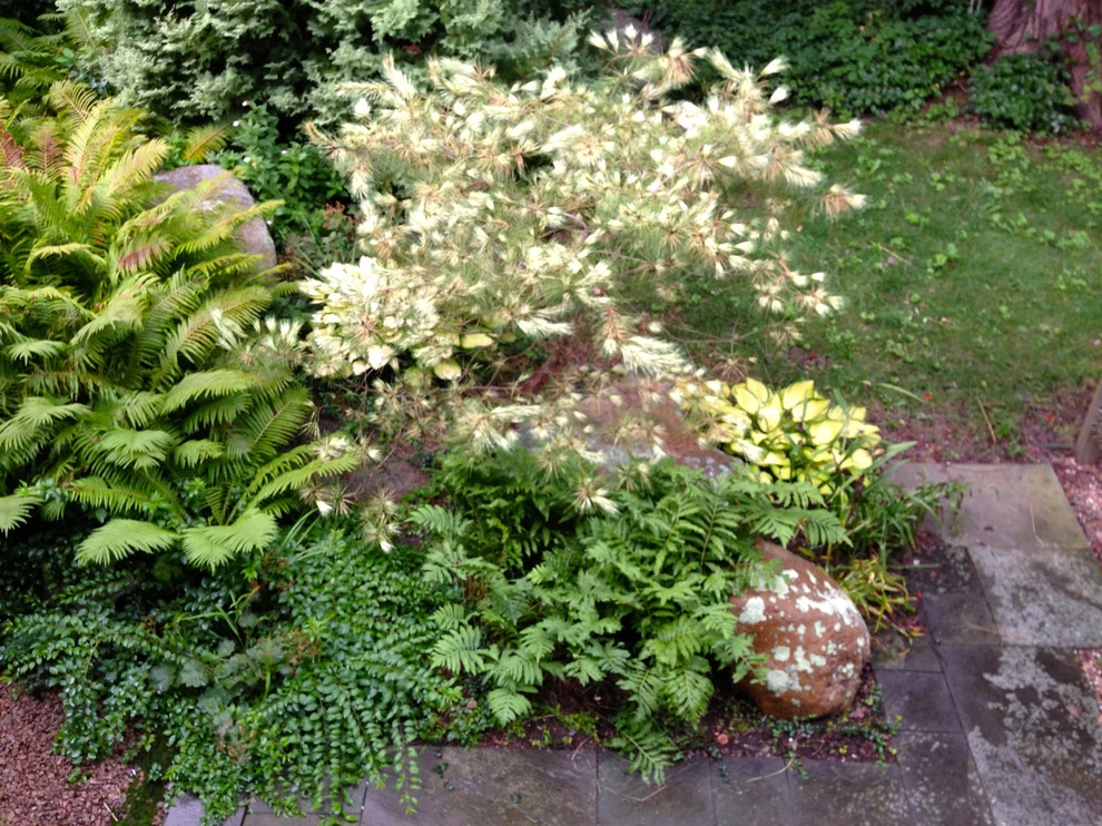 Coastal Rhode Island Garden: Salt Pond Friendly by Gentle Gardener Green Design - Photo 12