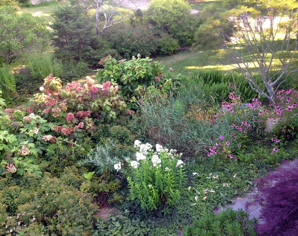 Coastal Rhode Island Garden: Salt Pond Friendly by Gentle Gardener Green Design - Photo 28