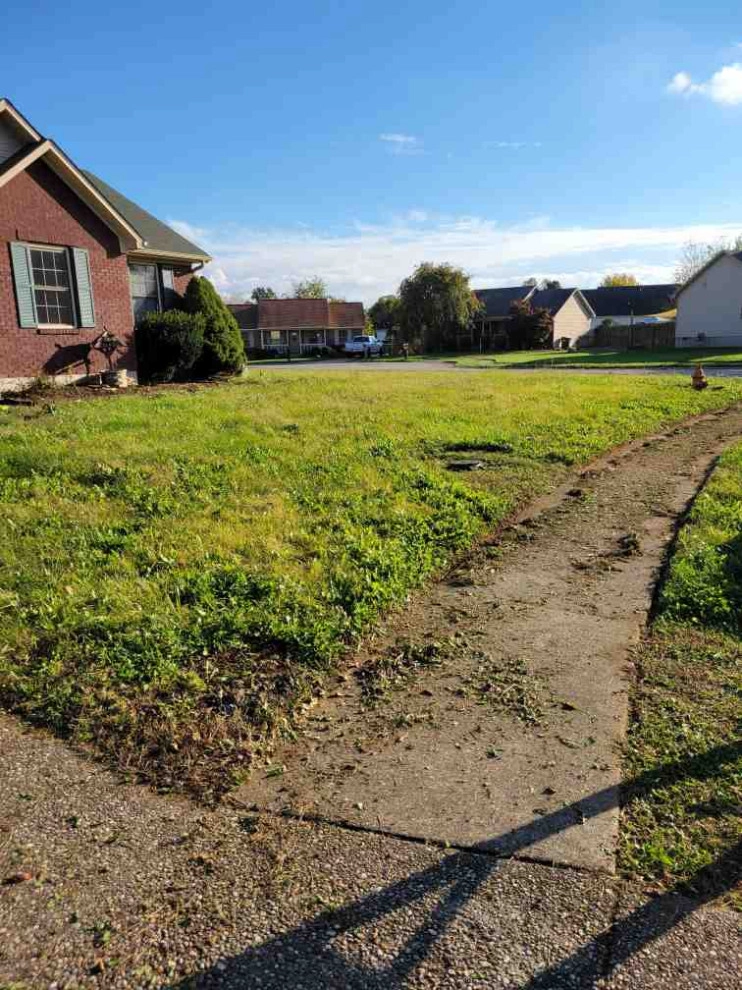Alberto Alavez Professional Lawn Services LLC 7 by Alberto Alavez Professional Lawn Services LLC - Photo 5