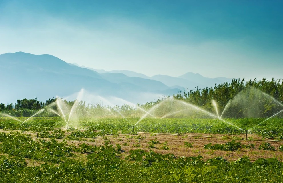 Charlotte Irrigation Systems - Photo 2