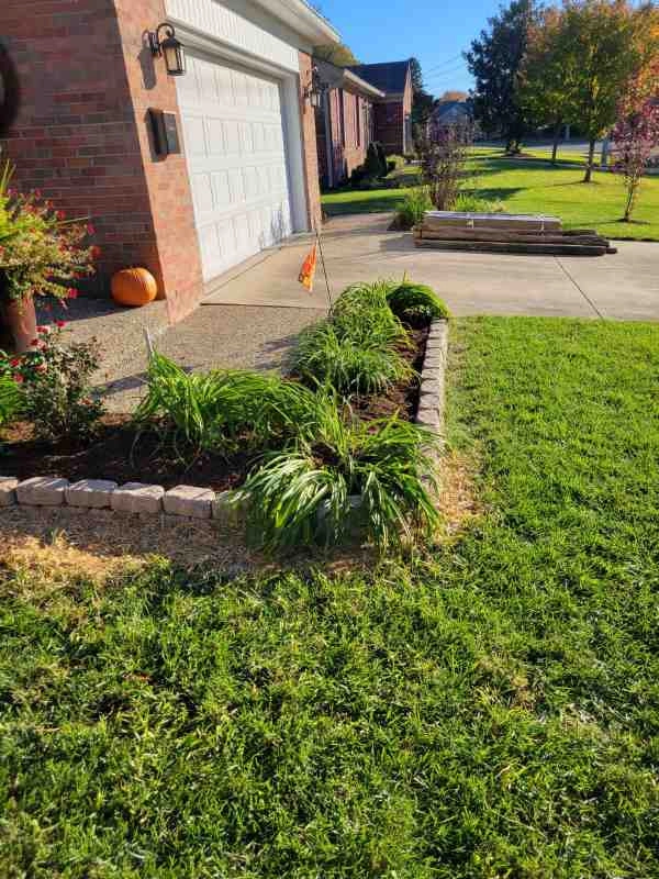 Alberto Alavez Professional Lawn Services LLC 7 by Alberto Alavez Professional Lawn Services LLC - Photo 45