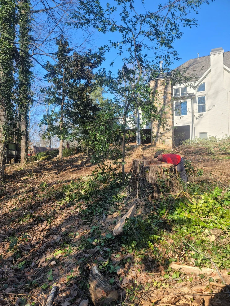 D M Landscape Design Llc - Photo 8