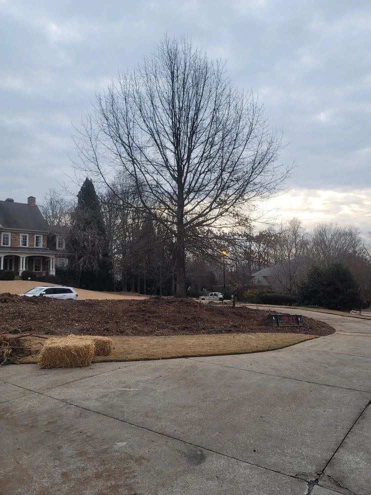 D M Landscape Design Llc - Photo 12